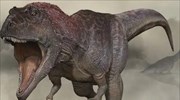 Ανακαλύφθηκε άγνωστος γιγάντιος δεινόσαυρος