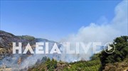 Πύργος: Σε ύφεση οι φωτιές στις περιοχές Ροδιά και Σμέρνα