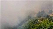 Πυρκαγιά στη Λιχάδα της Βόρειας Εύβοιας
