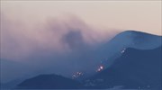 Πυρκαγιά στη Σάμο: Εντολή εκκένωσης σε δύο χωριά - Αναφορές για ζημιές σε σπίτια