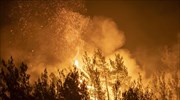 Κροατία: Στάχτη 33.000 στρέμματα από την καταστροφική πυρκαγιά