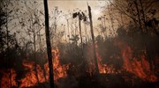 Μαρόκο: Μεγάλες πυρκαγιές μαίνονται σε δασικές εκτάσεις στα βόρεια της χώρας