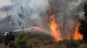 Πυρκαγιά στη Φέριζα Σαρωνικού: Ενισχύθηκαν οι δυνάμεις- Μήνυμα 112 για εκκένωση