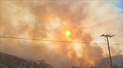 Οριοθετήθηκε η πυρκαγιά στην Κέρη Μαλεβιζίου Κρήτης