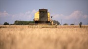 Καύσωνας - ξηρασία πλήττουν τα ευρωπαϊκά σιτηρά