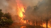 Απειλεί σπίτια η πυρκαγιά στα Μέγαρα - Μόνο μικρές εστίες γύρω από την Πεντέλη