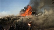 Πυρκαγιές: Αναλυτικά τα μέτρα για την στήριξη των πληγέντων