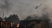 Πυρκαγιές: Η εικόνα ανά τη χώρα το απόγευμα της Πέμπτης - 390 την τελευταία εβδομάδα