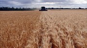 Συμφωνία Ρωσίας και Ουκρανίας για την εξαγωγή σιτηρών- Υπογράφεται σήμερα