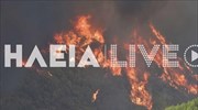 Ηλεία: Σε εξέλιξη πυρκαγιά σε δύσβατη περιοχή στο Φανάρι Ανδρίτσαινας