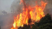 Ηλεία: Οριοθετήθηκε η φωτιά στο Φανάρι Ανδρίτσαινας