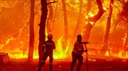 Λέσβος: Οι Ένοπλες Δυνάμεις στη μάχη για την κατάσβεση της πυρκαγιάς στα Βατερά