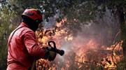 Πυρκαγιές: Έκτακτη ενημέρωση για τις εξελίξεις σε όλα τα μέτωπα - Που επικεντρώνονται οι Δυνάμεις