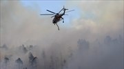 Φωτιά στον Έβρο: Απειλείται το Εθνικό Πάρκο Δαδιάς - Υλοτόμοι κόβουν δέντρα για αντιπυρικές ζώνες