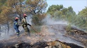Έβρος: Προς το χωριό της Δαδιάς κατευθύνεται η πυρκαγιά - Πέντε πύρινα μέτωπα