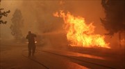 ΓΓΠΠ: «Καμπανάκι» για πυρκαγιές και τη Δευτέρα