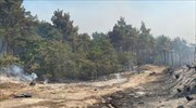 Πυρκαγιές-Δαδιά: Καιρικές συνθήκες και αναζωπυρώσεις δυσχεραίνουν την κατάσβεση