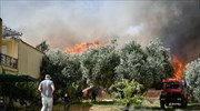 Πυρκαγιά στην Ηλεία: Μήνυμα μέσω του 112 για προληπτική εκκένωση 4 περιοχών
