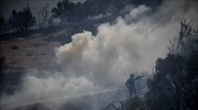 Ηράκλειο: Οριοθετήθηκε η πυρκαγιά στο δήμο Φαιστού