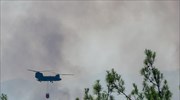 Εξαπλώνεται η πυρκαγιά στον Έβρο: Πού έγινε εκτροπή κυκλοφορίας οχημάτων