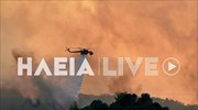 Ηλεία: Μεγάλο εξακολουθεί να είναι το μέτωπο της πυρκαγιάς