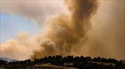 Πυρκαγιές: Μαίνεται η μάχη σε Δαδιά και Κρέστενα Ηλείας