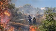 Χαλκιδική: Ελέγχονται οι δασικές πυρκαγιές σε Καρβουνά Σιθωνίας-Σάνη Κασσάνδρας