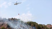 Λέσβος: Περιορίστηκε η πυρκαγιά στην περιοχή Ρογκάδα