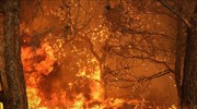 ΓΓΠΠ: «Καμπανάκι» για πυρκαγιές και την Τετάρτη