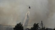 Χαϊδάρι: Δασική πυρκαγιά στα Κουνέλια - Απογειώθηκαν και εναέρια μέσα
