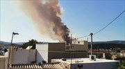 Φωτιά στη Μάνδρα: Προληπτική εκκένωση των οικισμών Νέα Ζωή και Νέος Πόντος