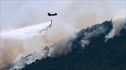 Πυρκαγιά στη Δαδιά: Συνεχίζεται η μάχη με τις αναζωπυρώσεις στο Εθνικό Πάρκο
