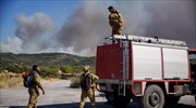 Πυροσβεστική: Εννέα συλλήψεις το τελευταίο 6ήμερο - 345 δασικές πυρκαγιές σε μια βδομάδα