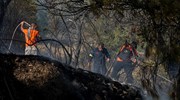Φωτιά στη Λέσβο: Συνεχίζεται η μάχη πυροσβεστών και εθελοντών