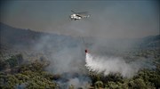 Σε ύφεση από το μεσημέρι η φωτιά στη νότια Λέσβο