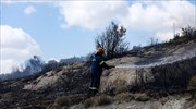 Πυρκαγιά στο Δίστομο Βοιωτίας - Πολύ υψηλός κίνδυνος και το Σάββατο