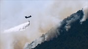 Έβρος-Δαδιά: Οριοθετημένη η πυρκαγιά στο Εθνικό Πάρκο - Επιτόπου ισχυρές δυνάμεις