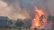 Φωτιά στο Δίστομο: Δεν απειλούνται κατοικημένες περιοχές