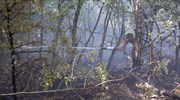 Πυρκαγιές νότια της Αλβανίας - Απειλούν ελληνικά μειονοτικά χωριά