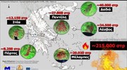 Πυρκαγιές: Πόσα στρέμματα κάηκαν τον Ιούλιο
