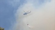 Πύλος: Πυρκαγιά σε δάσος στην περιοχή Σχίνος - 112 στους πολίτες του Μεσοχωρίου για εκκένωση