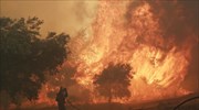 Πυρκαγιές: Καλή εικόνα στη Στάμνα Μεσολογγίου - Υπό μερικό έλεγχο η πυρκαγιά κοντά στην γέφυρα του Αλφειού