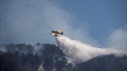 Πορτογαλία: Συνεχίζεται η μάχη 1.500 πυροσβεστών με τις φλόγες σε εθνικό δρυμό