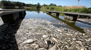 Γερμανία - Πολωνία: Νεκρά ψάρια στον ποταμό Όντερ- Επιστρατεύεται ο στρατός