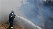 Πυροσβεστική: 35 δασικές πυρκαγιές εκδηλώθηκαν το τελευταίο 24ωρο
