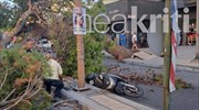 Ηράκλειο: Νεκρός 51χρονος μοτοσικλετιστής που καταπλακώθηκε από δέντρο