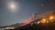 Αστεροσκοπείο: 2.770 στρέμματα έκαψε η πυρκαγιά στη Θάσο