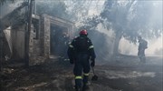 Συνολικά 33 δασικές πυρκαγιές το τελευταίο 24ωρο - Σε ύφεση η φωτιά στη Φυλιαδώνα Φθιώτιδας