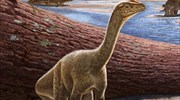 Ο αρχαιότερος δεινόσαυρος της Αφρικής ήταν...μίνι