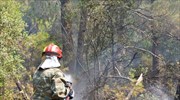 Πυρκαγιά σε χαμηλή βλάστηση στο Γραμματικό Αττικής - Επιχειρούν και εναέρια μέσα